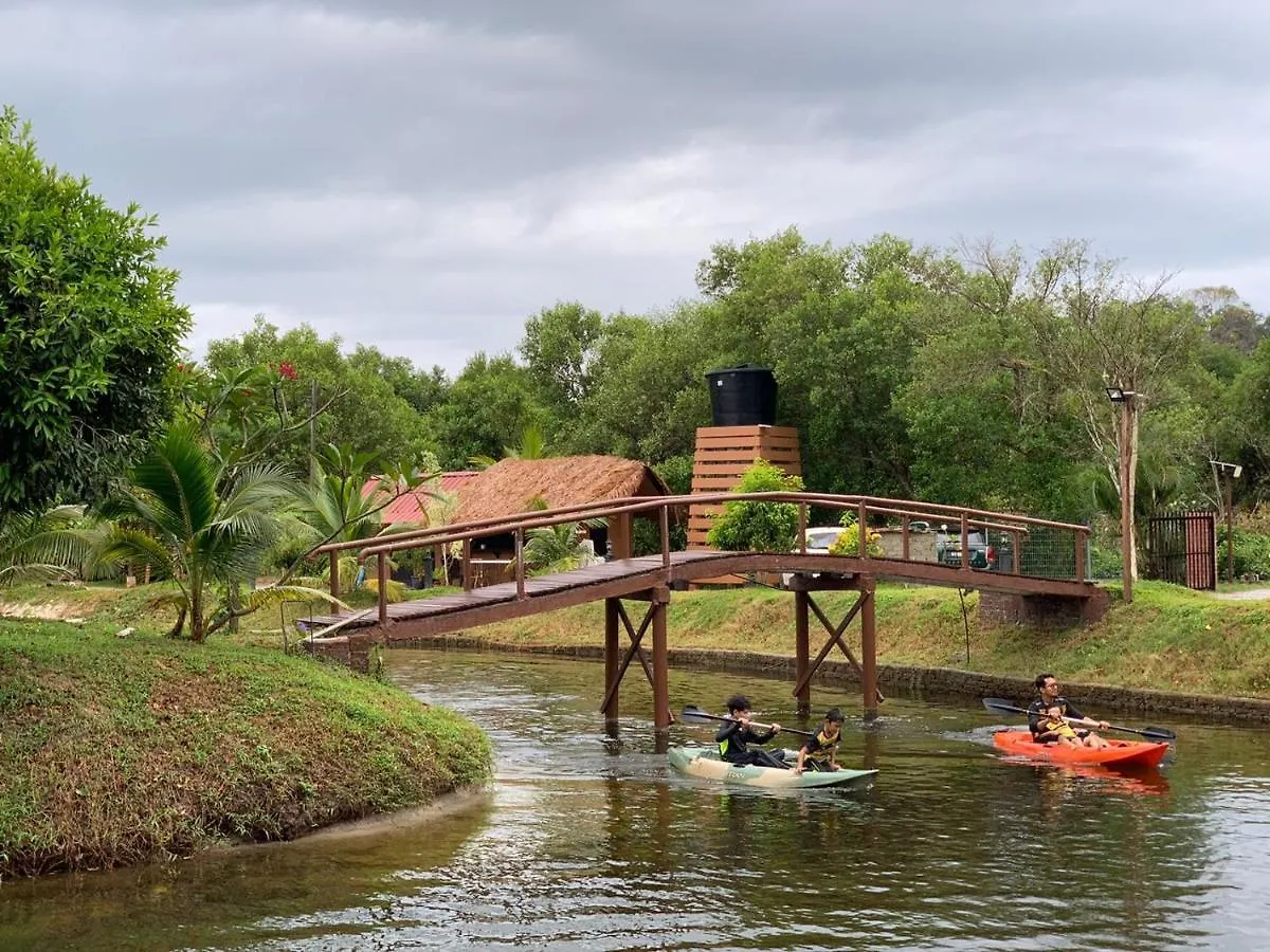 Api-api Eco Resort Pantai Kok